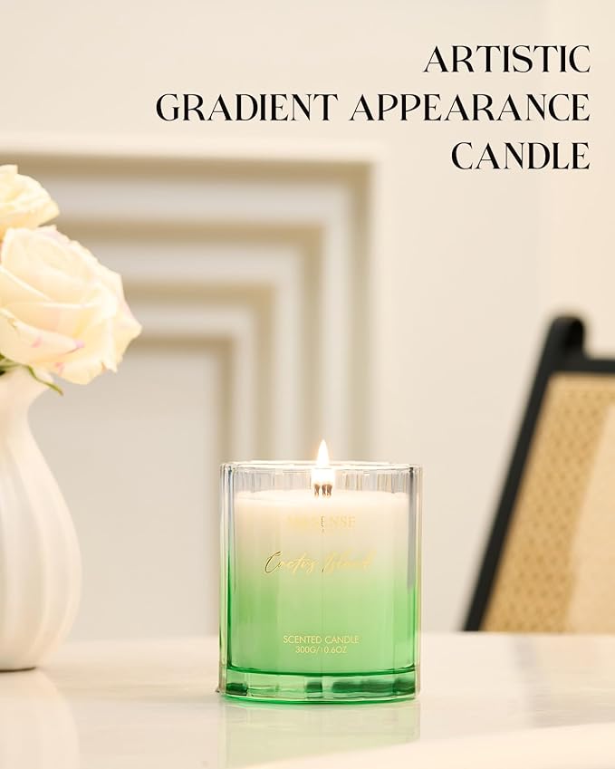 M&SENSE Spring Bergamot Cactus Scented Candle, 10.6oz Natural Soy Wax Non Toxic 60-Hour Slow Burning Highly Scented Candle for Home Decor & Housewarming Gifts