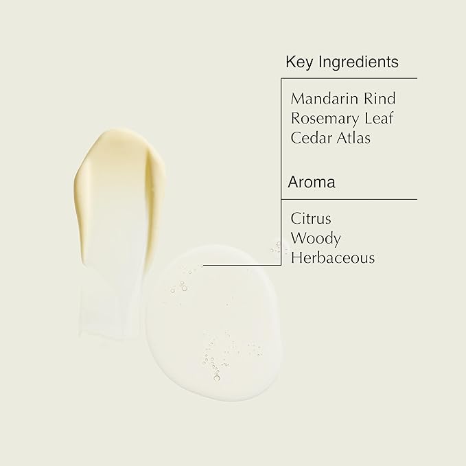 Aesop Resurrection Hand Wash & Balm Holiday Gift Set | Citrus & Woody Duo to Cleanse and Moisturize Hands | 16.9 oz / 500 mL (Set of 2)