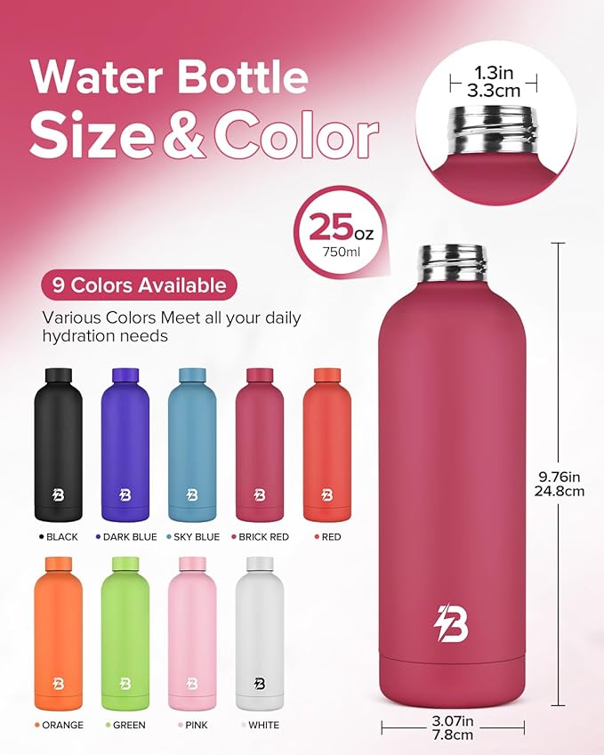 Insulated Water Bottle with Lid, 25 oz Reusable Leak-Proof Metal Stainless Steel Water Bottles for Travel, Sports, Gym, Outdoor (Brick Red)