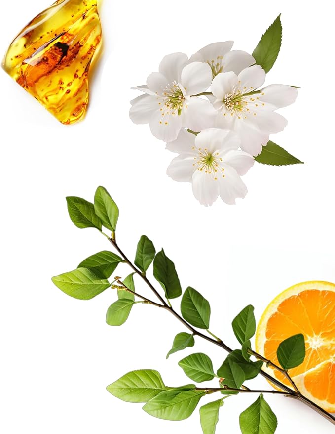 AromaPlan Hotel, Home Luxury Scents, Vines 5.07 Fl Oz (150ml) | Fragrance for Cold Air & Waterless Diffuser Oil | Home Luxury & Hotel Scent for Aromatherapy- USA Made, Bigger Bottle & Longer Lasting