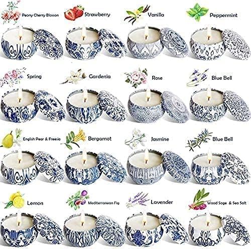 Set of 16 Small Scented Candles Gifts,Blue and White Aroma Naturals Candles,2.5 OZ Soy Wax Travel Tin Jar Candles,Appropriate Gifts for Mom,Christmas, Birthday, Thanksgiving,Christmas Celebrations.