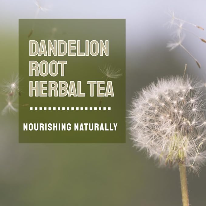 HANFANGLING Roasted Dandelion Burdock Root Herbal Tea-Detoxifying,Supports Gentle Liver/Kidney/Intestinal Caffeine-Free Coffee Alternative Detoxification,20 Count,(5.64oz 160g)