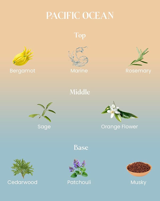 M&SENSE 10.6oz Natural Soy Wax 60-Hour Slow Burning Non Toxic Aromatherapy Candle for Home Decor & Bath Luxury Gifts, Summer Ocean