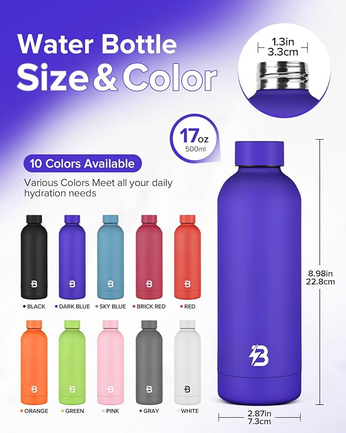 Insulated Water Bottle with Lid, 17 oz Reusable Leak-Proof Metal Stainless Steel Water Bottles for Travel, Sports, Gym, Outdoor (Dark Blue)