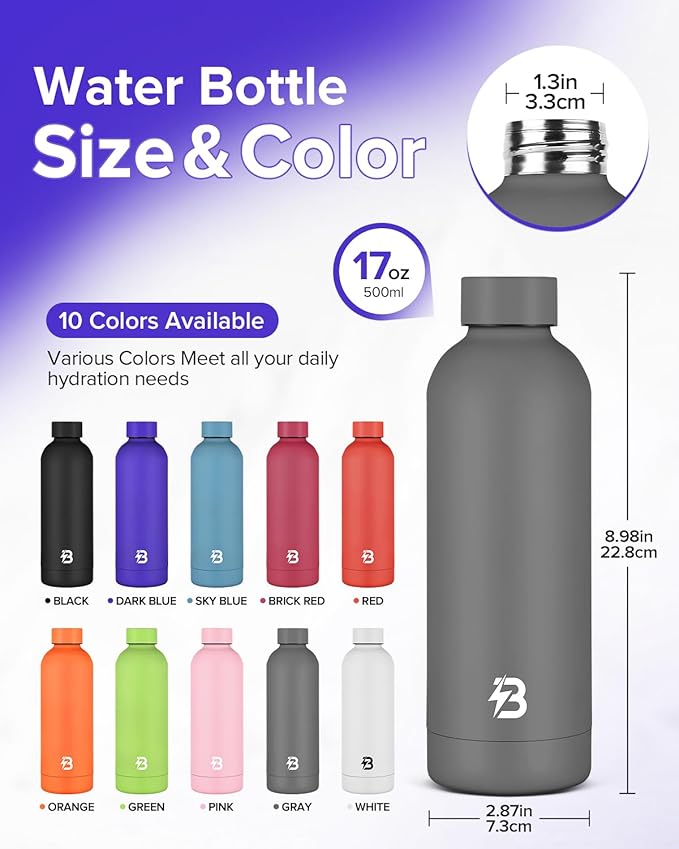 Insulated Water Bottle with Lid, 17 oz Reusable Leak-Proof Metal Stainless Steel Water Bottles for Travel, Sports, Gym, Outdoor (Gray)