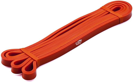 Fit Simplify Pull Up Assist Resistance Bands for Fitness, Physical Therapy, Stretching, Mobility and Exercise
