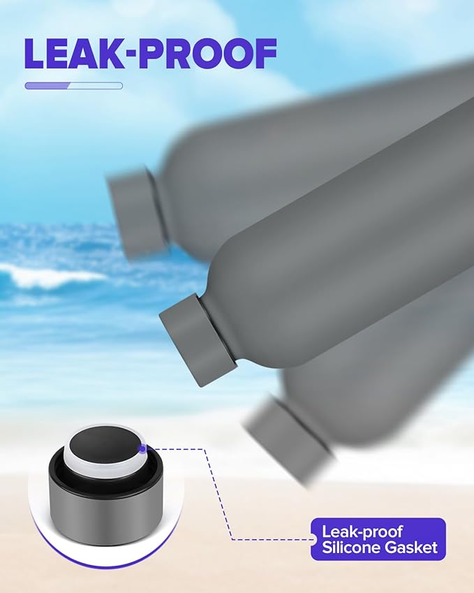 Insulated Water Bottle with Lid, 17 oz Reusable Leak-Proof Metal Stainless Steel Water Bottles for Travel, Sports, Gym, Outdoor (Gray)