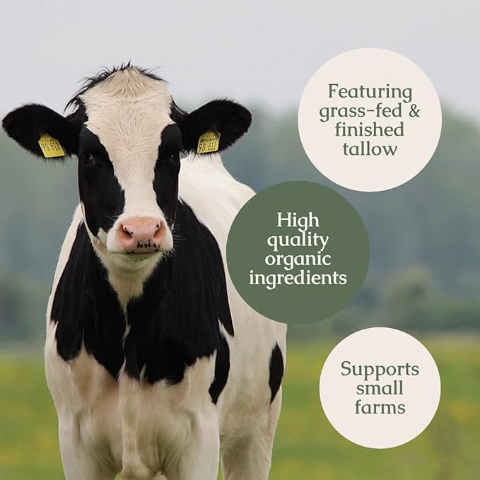 Hearth and Homestead: Handmade Whipped Tallow Balm, Organic, Moisturizer, Body Butter with Infused Olive Oil, for Eczema, Rosacea, Baby (Lavender)