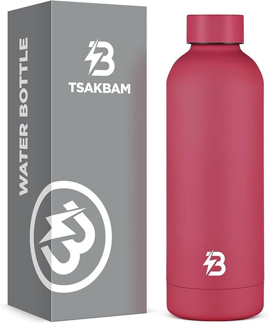 Insulated Water Bottle with Lid, 17 oz Reusable Leak-Proof Metal Stainless Steel Water Bottles for Travel, Sports, Gym, Outdoor (Brick Red)