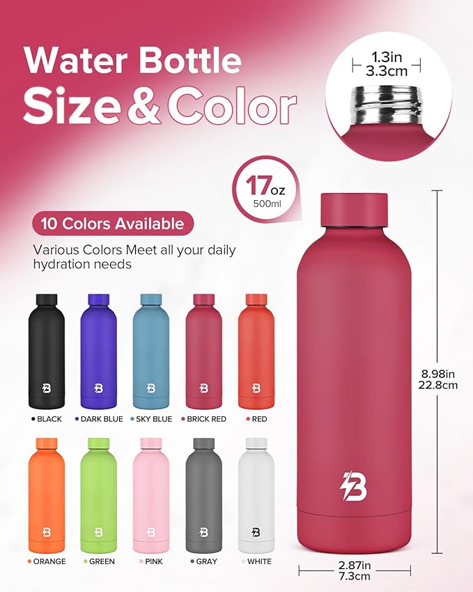 Insulated Water Bottle with Lid, 17 oz Reusable Leak-Proof Metal Stainless Steel Water Bottles for Travel, Sports, Gym, Outdoor (Brick Red)