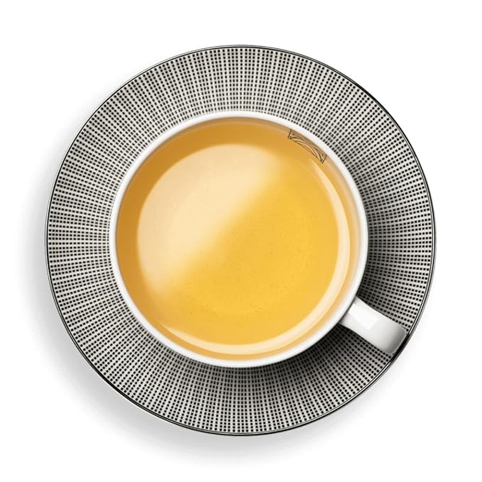 Dammann Freres Sachets, Vert Au Jasmin Tea Bags, Premium Gourmet French Jasmine Green Tea, Individually Wrapped, 24 Count (Single Pack)