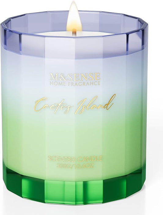 M&SENSE Spring Bergamot Cactus Scented Candle, 10.6oz Natural Soy Wax Non Toxic 60-Hour Slow Burning Highly Scented Candle for Home Decor & Housewarming Gifts