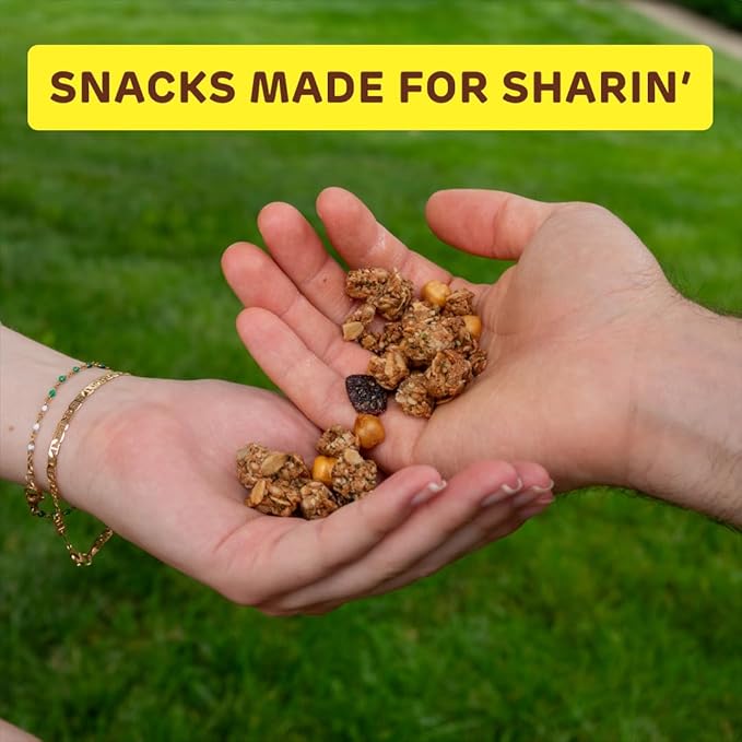 Absurd Snacks Chickpea & Granola Crunch Mix, Nut-Free, Gluten-Free, Plant-Based, Good Source of Protein & Fiber, Top-9 Allergen Free Snack Mix - 2-Pack (5 ounce, 3.5 servings) (Maple Cinnamon)