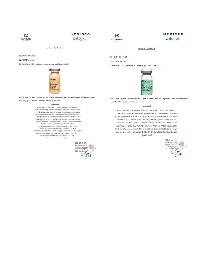 Stayve BB Shine Glow Customized Kit Booster and Pigments Mix - 12 Vials