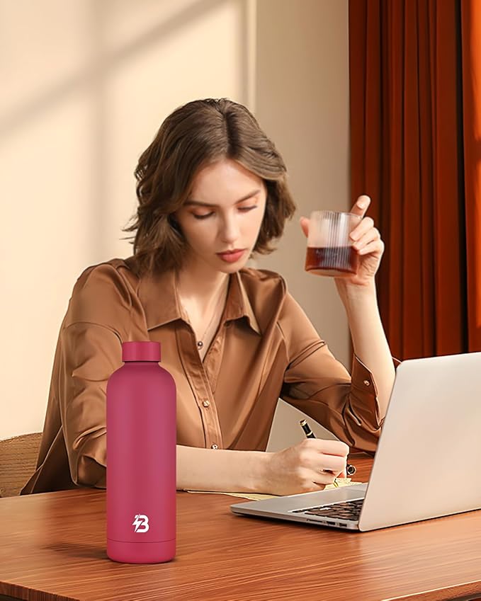 Insulated Water Bottle with Lid, 25 oz Reusable Leak-Proof Metal Stainless Steel Water Bottles for Travel, Sports, Gym, Outdoor (Brick Red)