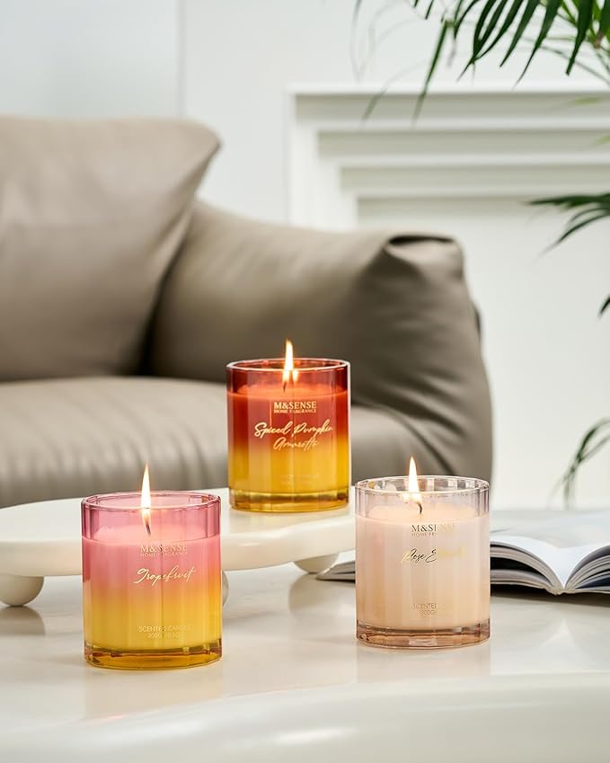 M&SENSE Spiced Pumpkin Fall Scented Candles Natural Soy Wax Non Toxic, 10.6oz 60 Hours Long Lasting Slow Burning Fall Scent Candle for Halloween Thanksgiving Holiday