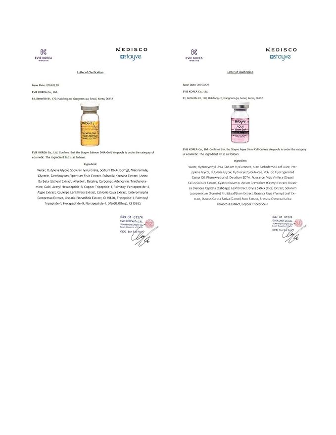 Stayve BB Shine Glow Customized Kit Booster and Pigments Mix - 12 Vials