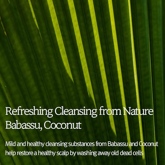 Hair Gift Set - Signature Shampoo & Conditioner Set 33.8 Fl. oz. (2×16.9 Fl. oz.) / 6 Hydrolyzed Proteins, 11 Amino Acids & 5 Plant Oils/Smooth & Shiny Hair