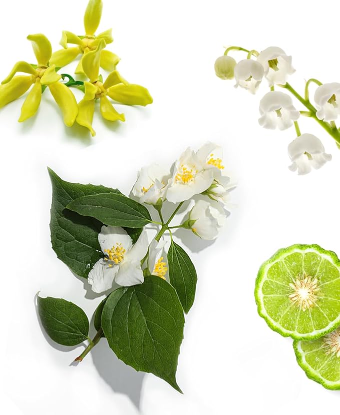 AromaPlan Hotel,Home Luxury Scents,Fresh Linen 5.07 Fl Oz (150ml) | Fragrance for Cold Air & Waterless Diffuser Oil | Home Luxury & Hotel Scent for Aromatherapy-USA Made,Bigger Bottle & Longer Lasting