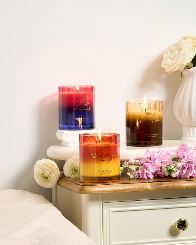 M&SENSE Midnight Pomegranate Scented Candles for Home, 10.6oz 60 Hours Natural Soy Wax Clean Burning Aromatherapy Candle for Thanksgiving Christmas Home Decor