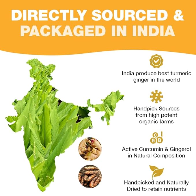 HANDPICK, Organic Turmeric Ginger Tea (100 Tea Bags) | Authentic Indian Origin | Caffeine Free, Gluten Free, Non-GMO | 100% Pure Herbal Blend - Savory & Spicy I Ecofriendly round tea bags