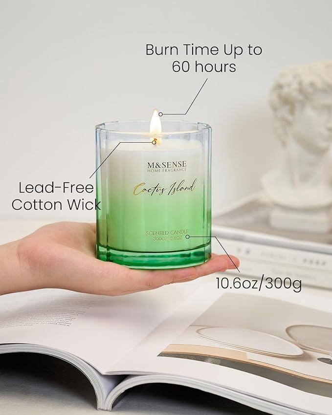 M&SENSE Spring Bergamot Cactus Scented Candle, 10.6oz Natural Soy Wax Non Toxic 60-Hour Slow Burning Highly Scented Candle for Home Decor & Housewarming Gifts