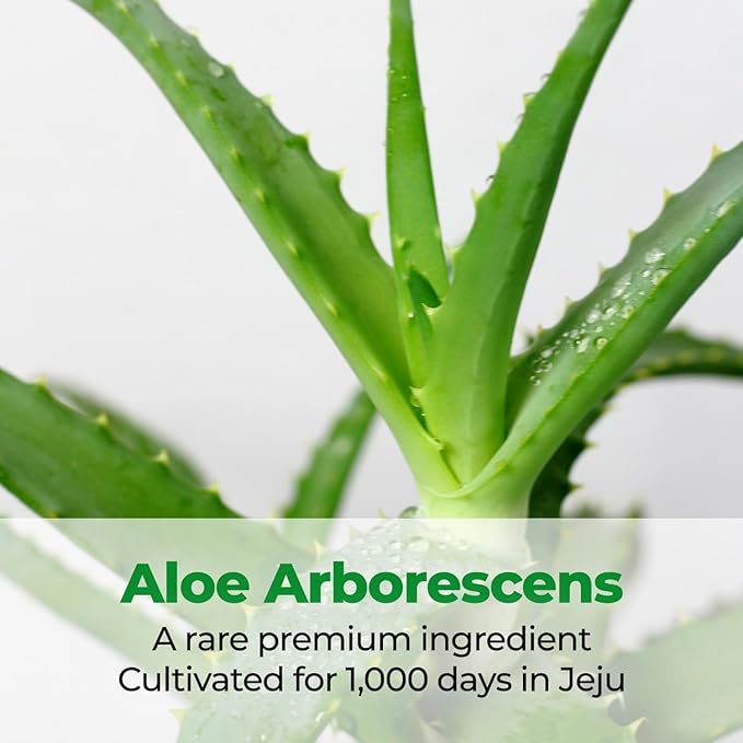 Cure Intensive 2X Cream, Premium Aloe Deep Moisturizing Multi Balm, Korean Skincare, Face Moisturizer for Dry Skin (Pack of 1)