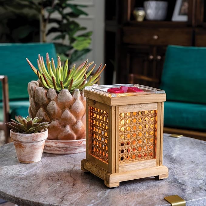 Candle Warmers Etc. Vintage Bulb Illumination Fragrance Warmer- Light-Up Warmer for Warming Scented Candle Wax Melts and Tarts to Freshen Room, Wood and Cane