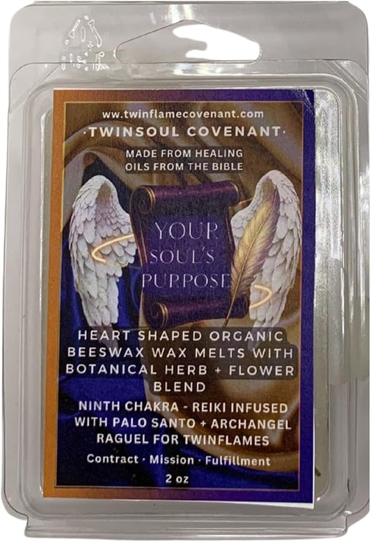 TwinFlames Chakra Wax Melt Collection – Beeswax Aromatherapy Melts with Archangel Energy, Sacred Oils & Scripture – 10 Spiritual Melts for Meditation, Alignment & Reiki (Your Soul's Purpose)