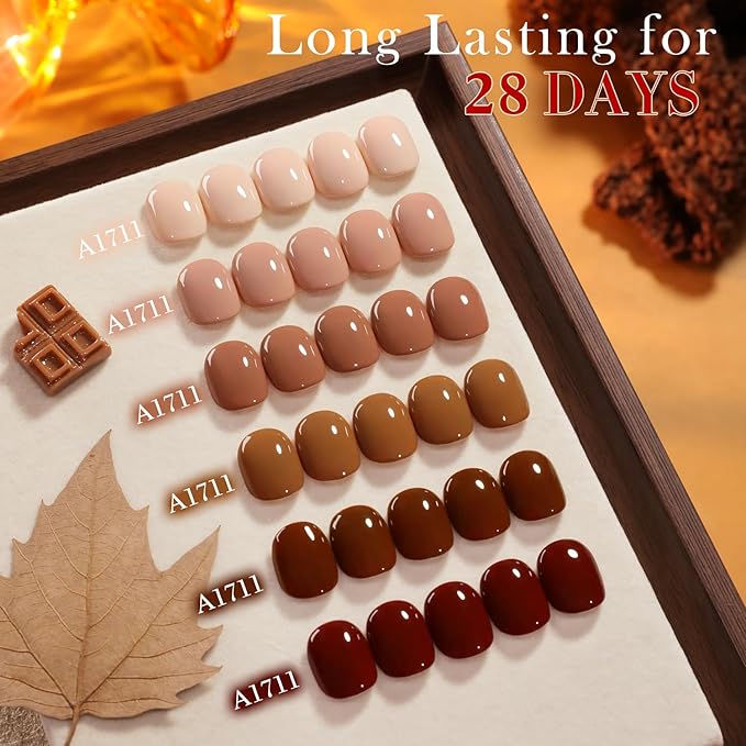 Double Rhythm 6 Pcs 15 ML Gel Polish Set Same Color Same Bottle Soak Off Gel Polish Kit Nail Art Manicure Salon DIY at Home for Women (Burgundy Cherry Brown Coffee -T6-69)