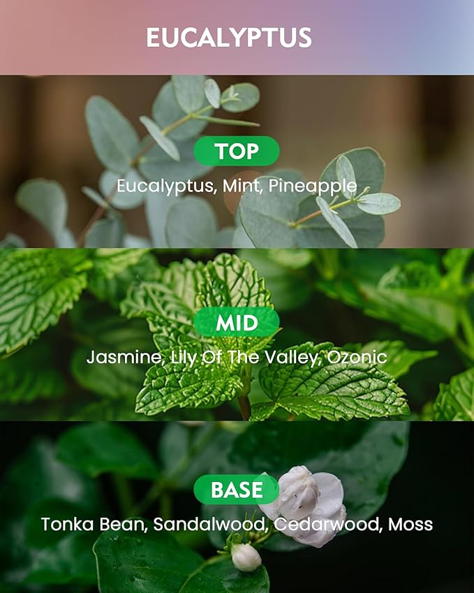 M&SENSE Eucalyptus Scented Candle, Soy Wax 11.6oz 60 Hours Long Lasting Burn, 3 Wick Organic Highly Scented Holiday Candle for Home, Party Ambiance, Fall/Winter Relaxing Gifts for Women