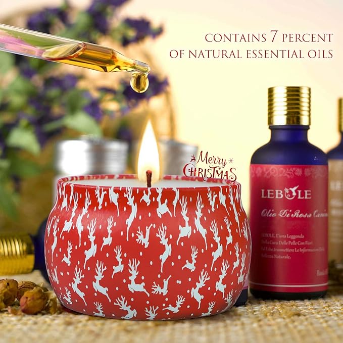 Christmas Candles, 4 Pack Scented Candles, Christmas Gifts for Women, Soy Candles Set, 120H Burning Time, Aromatherapy Candle for Meditation, Yoga, Relaxation, Bath, SPA, Ideal Gifts for Women