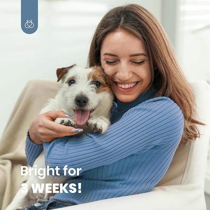 Beetles Blue Gel Polish Set - Winter Glitter Dark Navy Blue Sliver Gel Nail Polish, 6 Colors Soak off Nail Uv Lamp Manicure Gift for Women