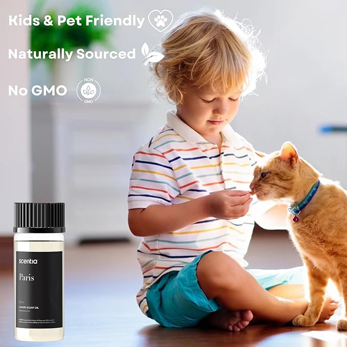 Hotel Diffuser Oil Inspired by The Hotel Costes Paris Scent - 50 mL 1.69 fl oz - Fragrance Oil Blend Rose,Clove &Sandalwood for Aromatherapy Diffuser & Humidifiers -Paris