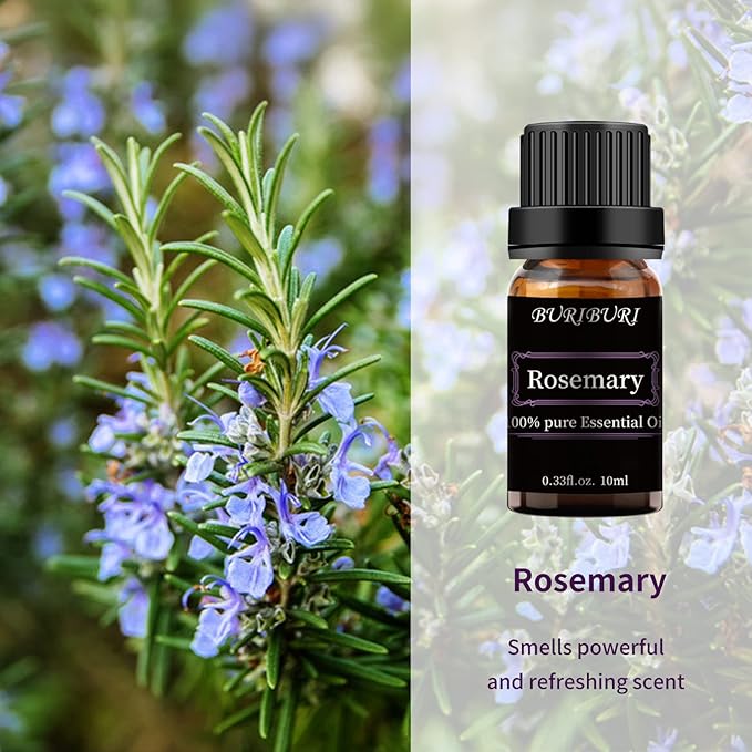 BURIBURI Rosemary Essential Oil 100% Pure, Undiluted, Natural, Organic Aromatherapy Rosemary Oil Essential Oils 10ML