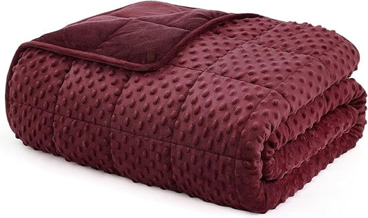 L'AGRATY Weighted Blanket for Adult - 80"x87" 25lbs Minky Dots Heavy Blanket with Glass Beads Soft Breathable for All-Season Summer Fall Winter Thick Comfort for Sleeping