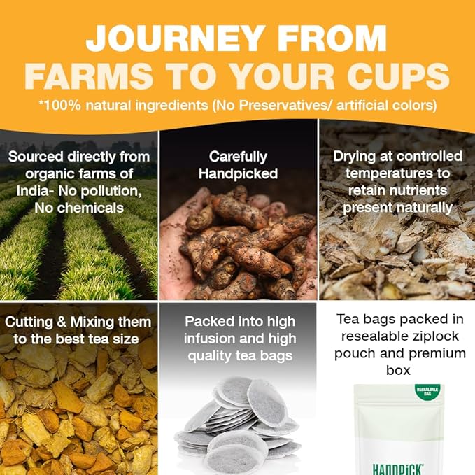 HANDPICK, Organic Turmeric Ginger Tea (100 Tea Bags) | Authentic Indian Origin | Caffeine Free, Gluten Free, Non-GMO | 100% Pure Herbal Blend - Savory & Spicy I Ecofriendly round tea bags