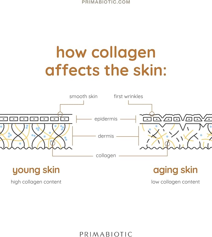 PRIMABIOTIC Liquid Collagen Sport- High Collagen Content [10,000 Mg] Per Serving - Hydrolyzed Collagen Drink and 12 Vitamins Orthosilicic Acid | Helps Bone Health, Hair, Nails | (30 Bottles x 30 ML)