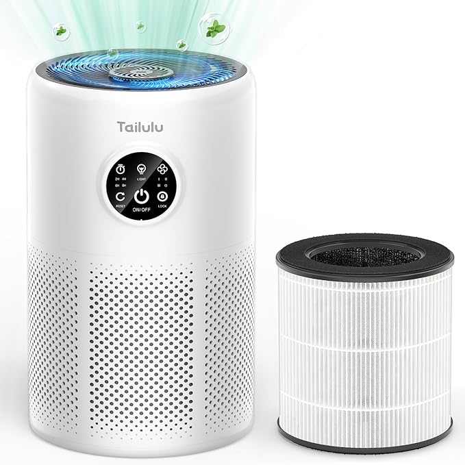Tailulu D10 Replacement Filte, Air Purifier Filter for Tailulu D10 Air Purifier, 3-in-1 H13 Grade True Replacement Filte, D10 Replacement Filter 1 Pack