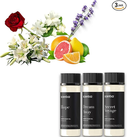 Perfume-Inspired Essential Oil Set – 3×20ml Diffuser Oils with Floral & Woody Notes | Designer Fragrance Blends for Home, Spa & Aromatherapy