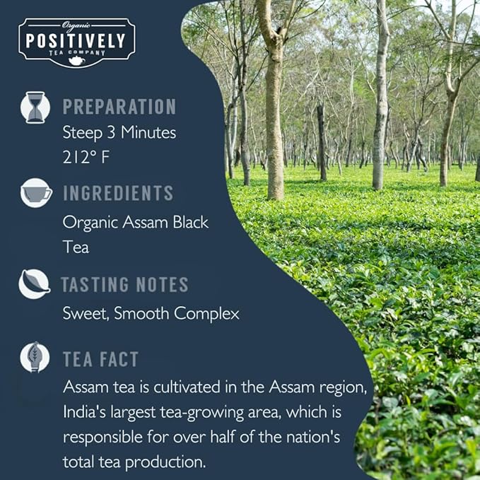 Organic Positively Tea Company, Assam TGFOP Black Tea, Loose Leaf, 16 Ounce