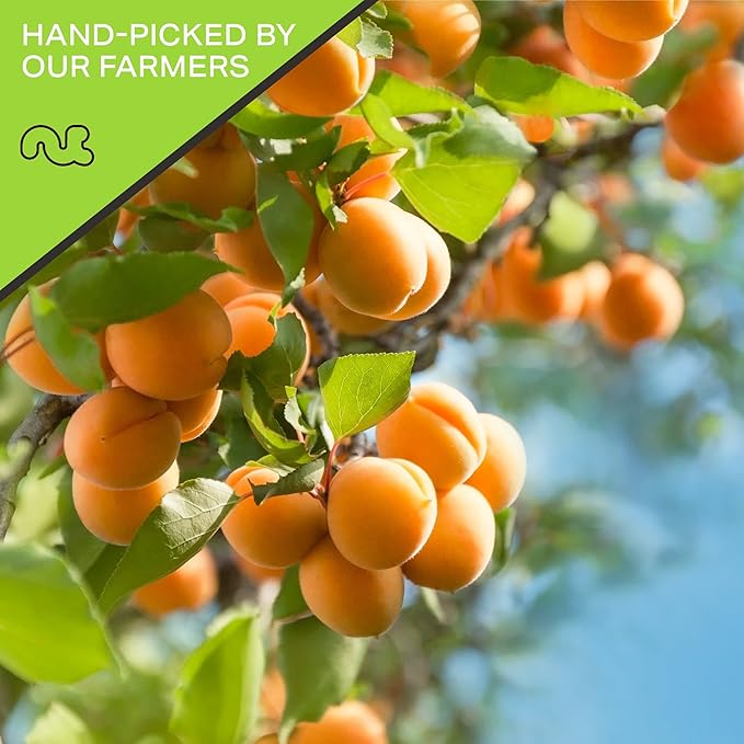 NUT CRAVINGS - Sun Dried Turkish Apricots, No Sugar Added, Unsweetened (80oz, 5 LB, Bulk) Bulk Dry Fruits Packed Fresh in Resealable Bag - Sweet Healthy Snack, Naturally Grown, Vegan, Kosher