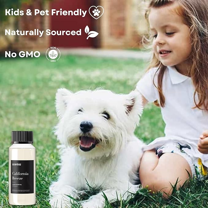 Hotel Diffuser Oil Inspired by The Delano Beach Club Hotel Scent - 120 mL 4.06 fl oz - Fragrance Oil Blend Orange, Green Tea & Jasmine for Aromatherapy Diffusers - California Breeze