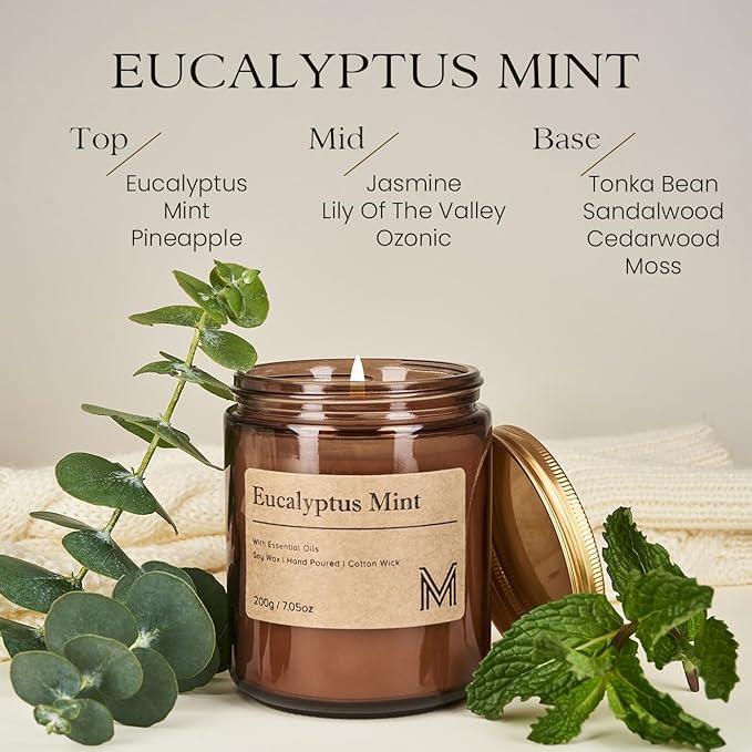 M&SENSE Eucalyptus Mint Home Scented Candle for Relaxation, Gifting, Spa | 7.05oz Candle Gift for Birthday Mother's Housewarming Valentine
