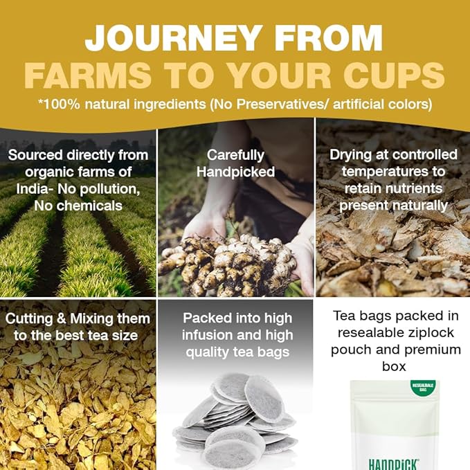 HANDPICK, Organic Ginger Tea Bags (100 Herbal Tea Bags), Authentic Indian Origin, Caffeine Free & 100% Pure Ginger Root |Soothing & Spicy Blend | Round Eco Conscious Teabags