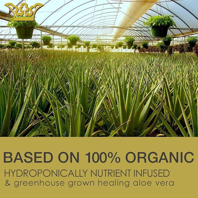 LEROSETT Oil-Free Moisturizer for Oily & Sensitive Skin, Lightweight Matte Hydration, Vegan Moisturizer, Aloe-Based with Vit-B5 + 7 Soothing Herbals, Non-comedogenic, Fragrance Free - 3 oz