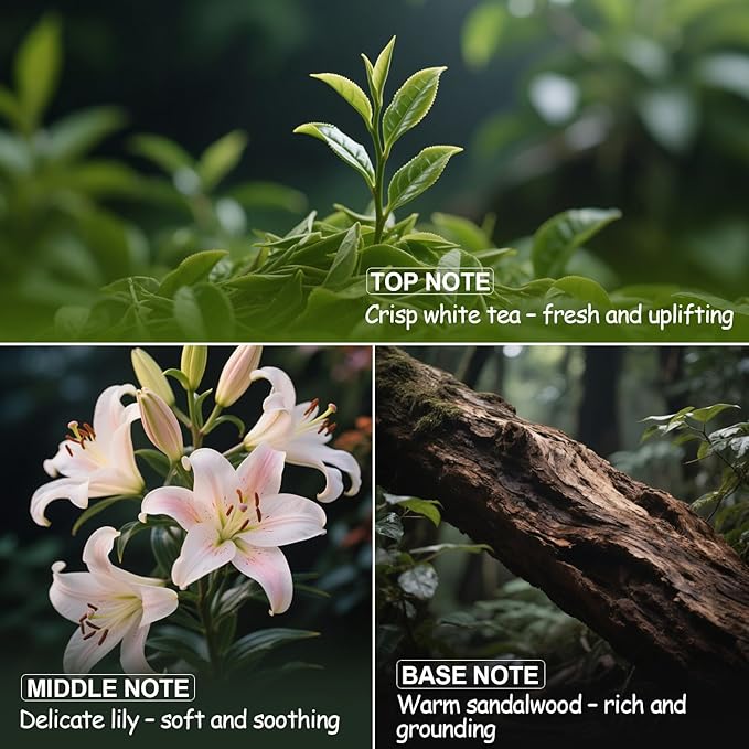 Luxury Diffuser Oil – Crisp White Tea, Lily & Warm Sandalwood Aromatherapy Premium Fragrance Oil for Ultrasonic and Waterless Diffusers 2‑Pack (2 × 0.34 fl oz)-“Dream On”Scent