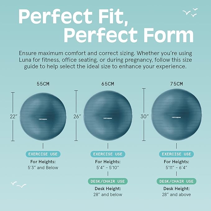 Retrospec Luna Exercise Ball with Pump - Anti-Burst Fitness Equipment for Yoga, Core Training & Stability - Home Gym Swiss Ball for Office & Pregnancy