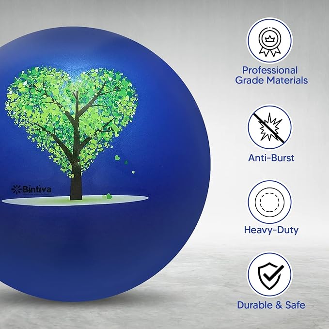 bintiva Exercise Ball