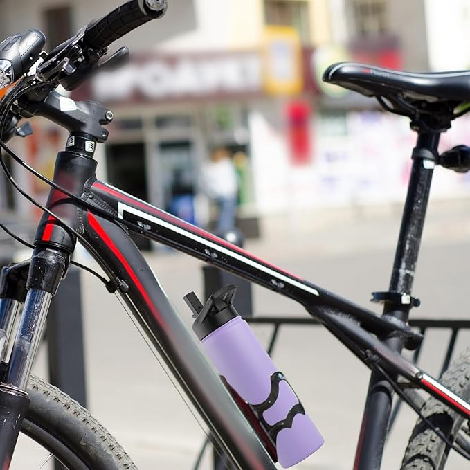 DOMICARE Insulated Water Bottle, 22 oz Vacuum Insulated Stainless Steel Reusable Sports Bottle with Straw Lid & Spout Lid for Travel, Camping, Bike, Leakproof, Purple, 4 Pack